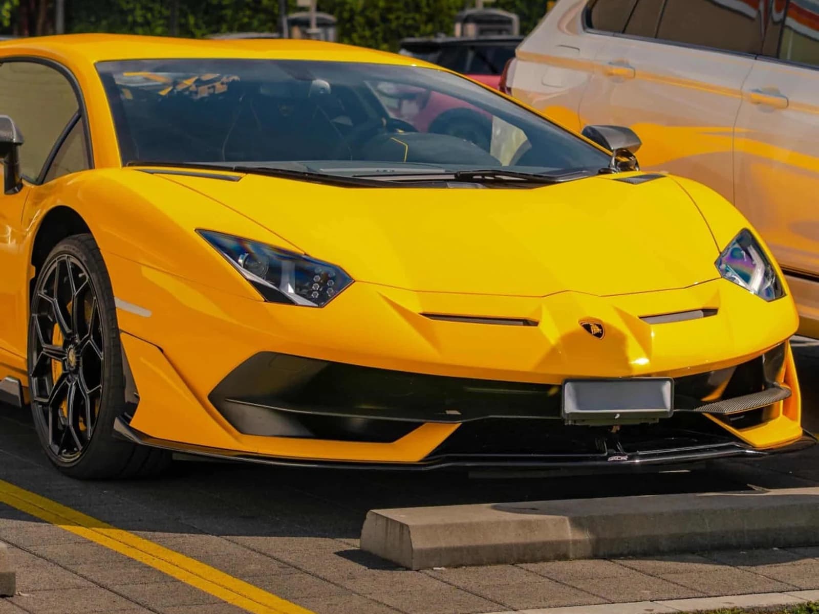 SVJ — Alpine Sprint